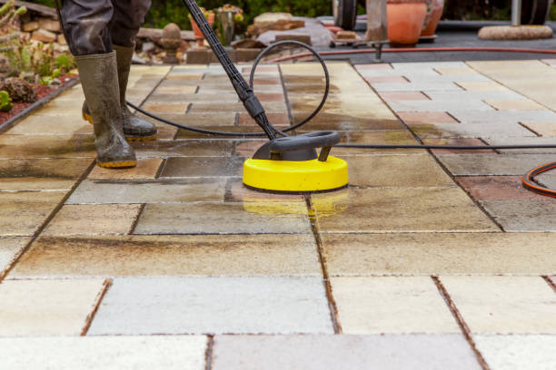 Animal Enclosure Cleaning in Morton, WA